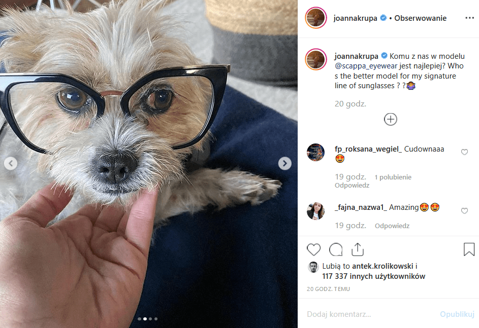 Joanna Krupa wrzuciła na Instagram psy w okularach, co nie spodobało się fanom jurorki "Top model" (TVN). Czy gwiazda Playboy i CKM męczy zwierzęta?