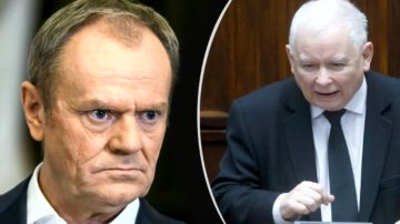 „PiS zapłacił Niemcom (…)” Wstrząsające słowa Donalda Tuska obiegły kraj