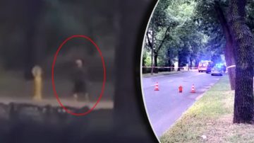 Prokuratura ujawnia wstrząsające fakty po interwencji w Sosnowcu. Doszło do fatalnej pomyłki?