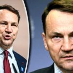 Minister spraw zagranicznych Radosław Sikorski, który w ostrych słowach odniósł się do sprawy z meczu i zapowiedział konkretne działania.