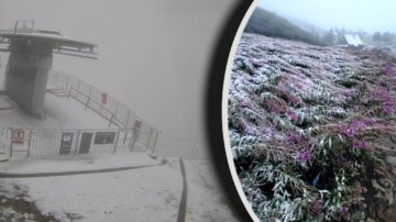 W Polsce spadł pierwszy śnieg. Zdjęcia i filmy obiegają sieć. Zaczęło się