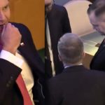 Podczas wizyty w Nowym Jorku prezydent Karol Nawrocki został uchwycony przez kamery w sytuacji, która natychmiast stała się tematem numer jeden w mediach społecznościowych. Widać, jak współpracownik podaje mu małe pudełko, a chwilę później Nawrocki wkłada coś do ust.