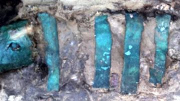 Potworne znalezisko w kopalni. Ma 800 lat i twierdzą, że… żyje (wideo)