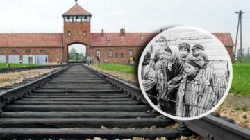 Jest ostra reakcja rządu na skandaliczna aukcję w Niemczech