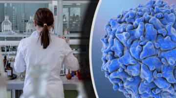 Groźny wirus powrócił w Niemczech po 30 latach. Przerażające odkrycie