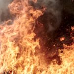 Cisza poświątecznego poranka została przerwana przez syreny. Po wielkim pożarze targowiska w Warszawie, który wstrząsnął stolicą, ogień znów dał o sobie znać na Mazowszu. Tym razem uderzył w miejsce ciche, z dala od handlowego zgiełku. W Wołominie spłonęła pszczelnia. Dorobek lat, praca wykonywana dzień po dniu, pasja, która dla właściciela była także sposobem na życie. Wszystko zniknęło w jednej nocy.