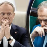 Głos w sprawie zabrał premier Polski Donald Tusk, odnosząc się wprost do oczekiwań Zachodu i zapowiedzi rozmów pokojowych.