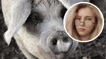 Nastolatkę rzucił świniom na pożarcie, zjadły ją żywcem. Miał konflikt z jej ojcem