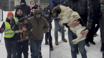 Ludzie nie mogli dłużej wytrzymać, wyszli na ulice. Ogromna awantura, Tusk potwierdził zamknięcie