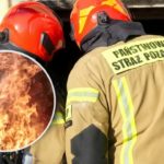 Spokojna niedziela w niewielkim mieście na Warmii i Mazurach zamieniła się w scenę dramatycznych wydarzeń. Jeden huk wystarczył, by postawić na nogi służby ratunkowe i wstrząsnąć lokalną społecznością. To, co miało być zwyczajnym porankiem, zakończyło się śmiercią jednej osoby i zniszczeniem mieszkania w bloku wielorodzinnym.