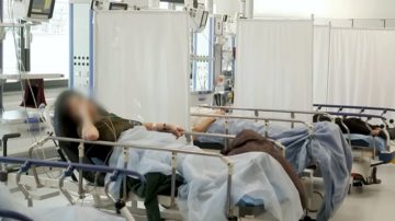 Mróz tego nie zabija – nowy mutant. Groźny wariant K szaleje w Polsce