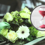 Świadczenie wspierające miało być przełomem dla osób w najtrudniejszej sytuacji, a tymczasem coraz częściej staje się testem cierpliwości...