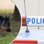 Kobieta zniknęła w środę wieczorem i od tamtej pory nie skontaktowała się z rodziną. Dlatego też bliscy szybko powiadomili służby, a sprawą...