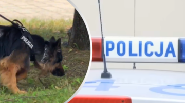 Alarm we Wrocławiu. Trwają poszukiwania zaginionej polskiej aktorki. Mąż błaga o pomoc