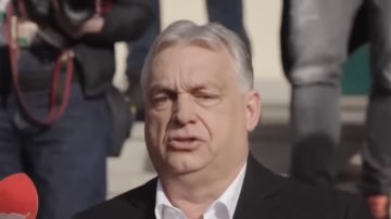 Pierwsze wyniki wyborów na Węgrzech. TISZA prowadzi po przeliczeniu części głosów