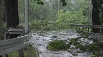 Setki interwencji po nawałnicach. Wielkopolska walczy ze skutkami burz, RCB wysłało alerty