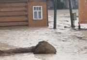 Powódź błyskawiczna na Podhalu. Ulice zamieniły się w rzeki, władze wydały pilny apel