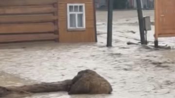 Powódź błyskawiczna na Podhalu. Ulice zamieniły się w rzeki, władze wydały pilny apel