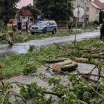 Nad zachodnią Polską przeszły pierwsze gwałtowne burze związane z chłodnym frontem atmosferycznym. Silny wiatr, ulewny deszcz i grad spowodowały szkody w Wielkopolsce oraz województwie lubuskim. Synoptycy ostrzegają, że to dopiero początek załamania pogody, a w najbliższych dniach burze mogą pojawić się również w innych regionach kraju.