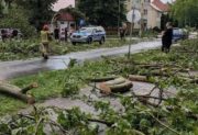 Zerwane dachy, powalone drzewa i grad wielkości piłek. Niszczycielskie nawałnice idą przez Polskę. Tu było najgorzej