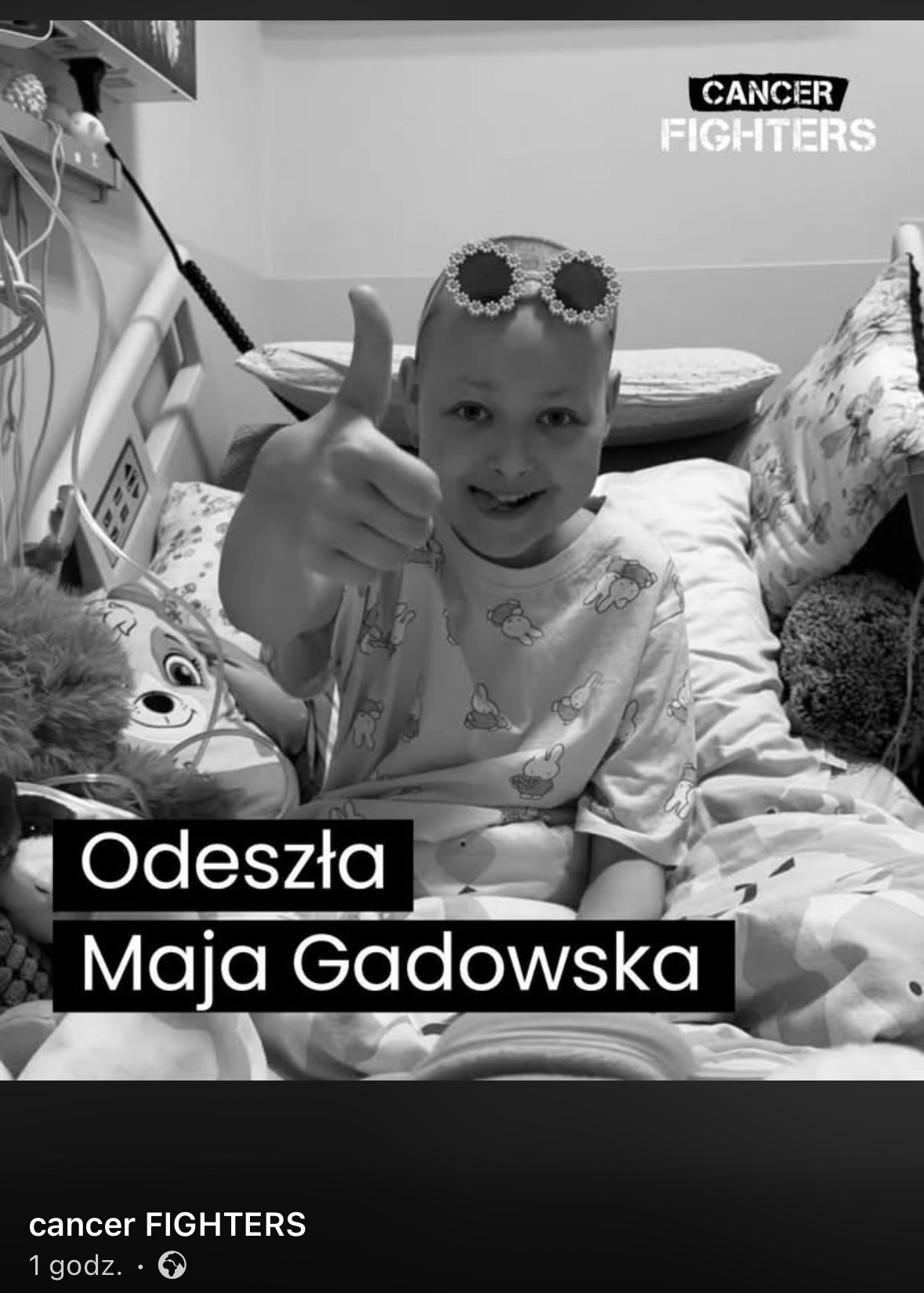 Mają Gadowska cancer fighters