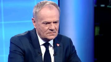 Donald Tusk zrzekł się immunitetu. Rzecznik rządu pilnie zabrał głos