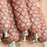 Główny Inspektorat Sanitarny wydał pilny komunikat dotyczący wycofania ze sprzedaży dwóch produktów mięsnych. Badania wykazały ryzyko obecności bakterii Salmonella